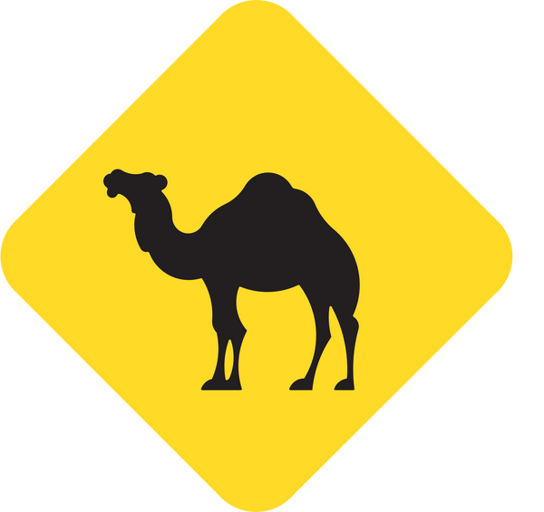 Jobedu Original Collection